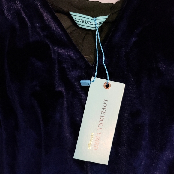 Pixie Market Love Dollybird Velvet tassel dress - Picture 11 of 12